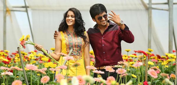 bhale bhale magadivoy,nani,lavanya tripathi,maruthi  నాని సినిమాలన్నీ చూస్తా - అల్లు అర్జున్!